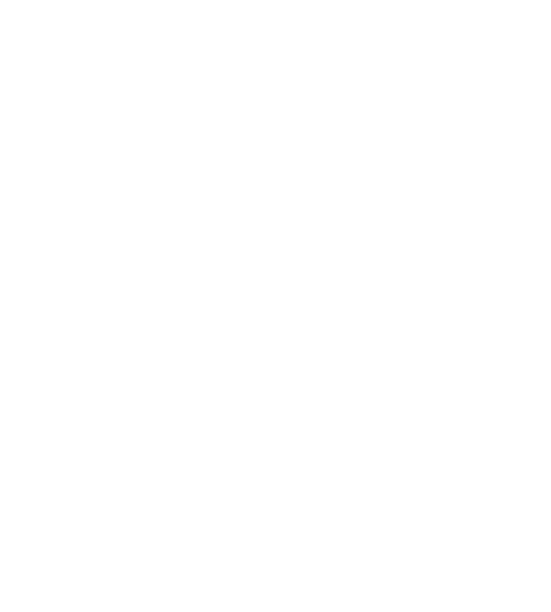 The Hilt